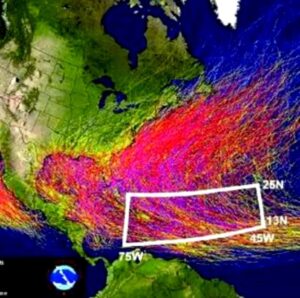 The image shows The area devastated by the disaster has been shown.